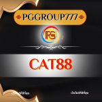 cat888
